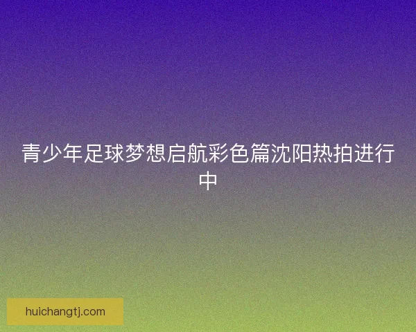 青少年足球梦想启航彩色篇沈阳热拍进行中